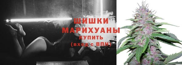 a pvp Коряжма