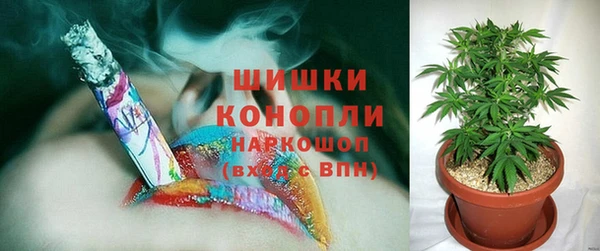 a pvp Коряжма