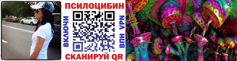 Псилоцибиновые грибы мицелий  Купить  Ахтубинск 